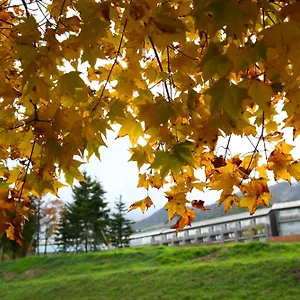 Ryokan Furano Hotel, Furano
